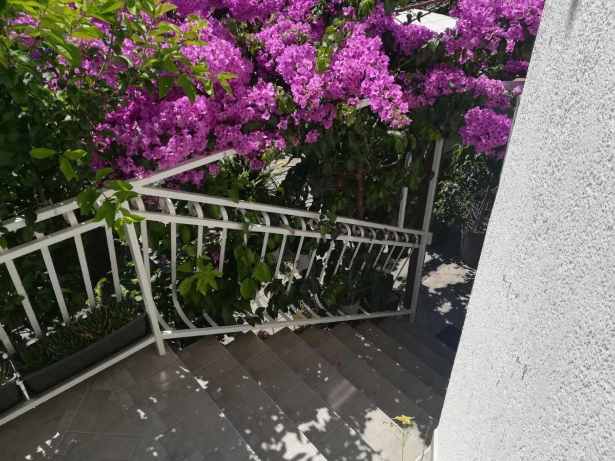 Hotel Dalmati House Brodarica  Esterno foto