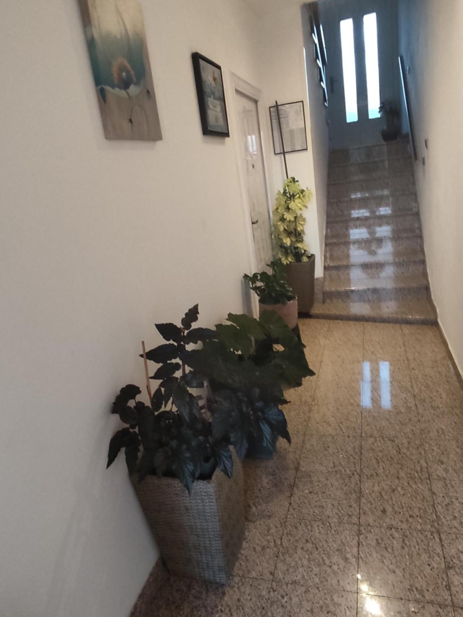 Hotel Dalmati House Brodarica  Esterno foto